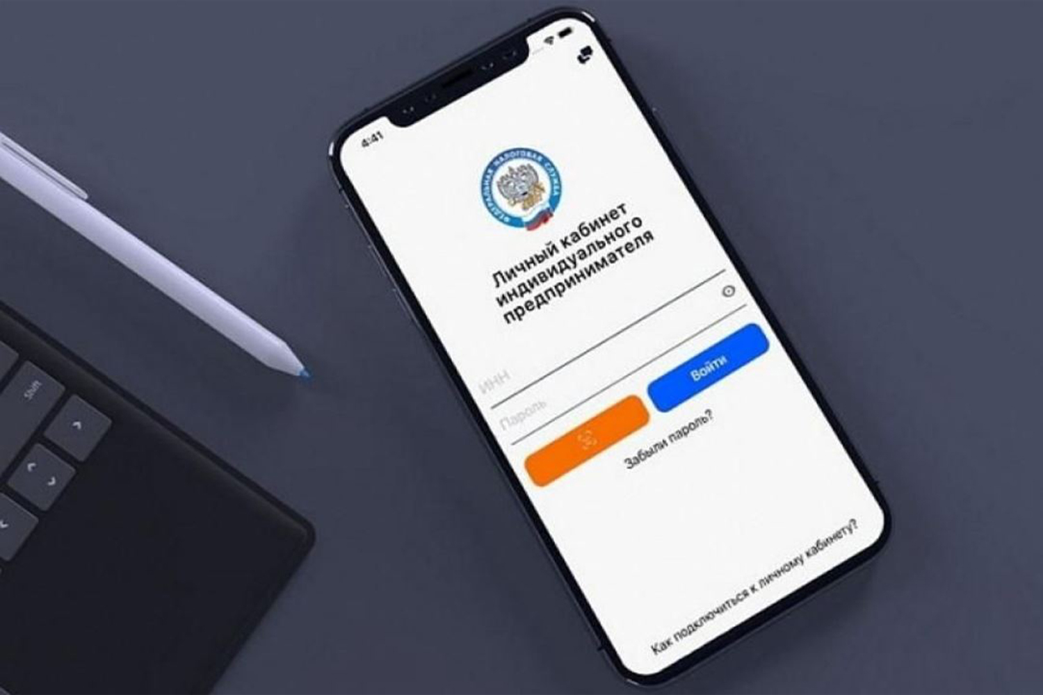 ИП могут представлять декларации по форме 3-НДФЛ через Личный кабинет 